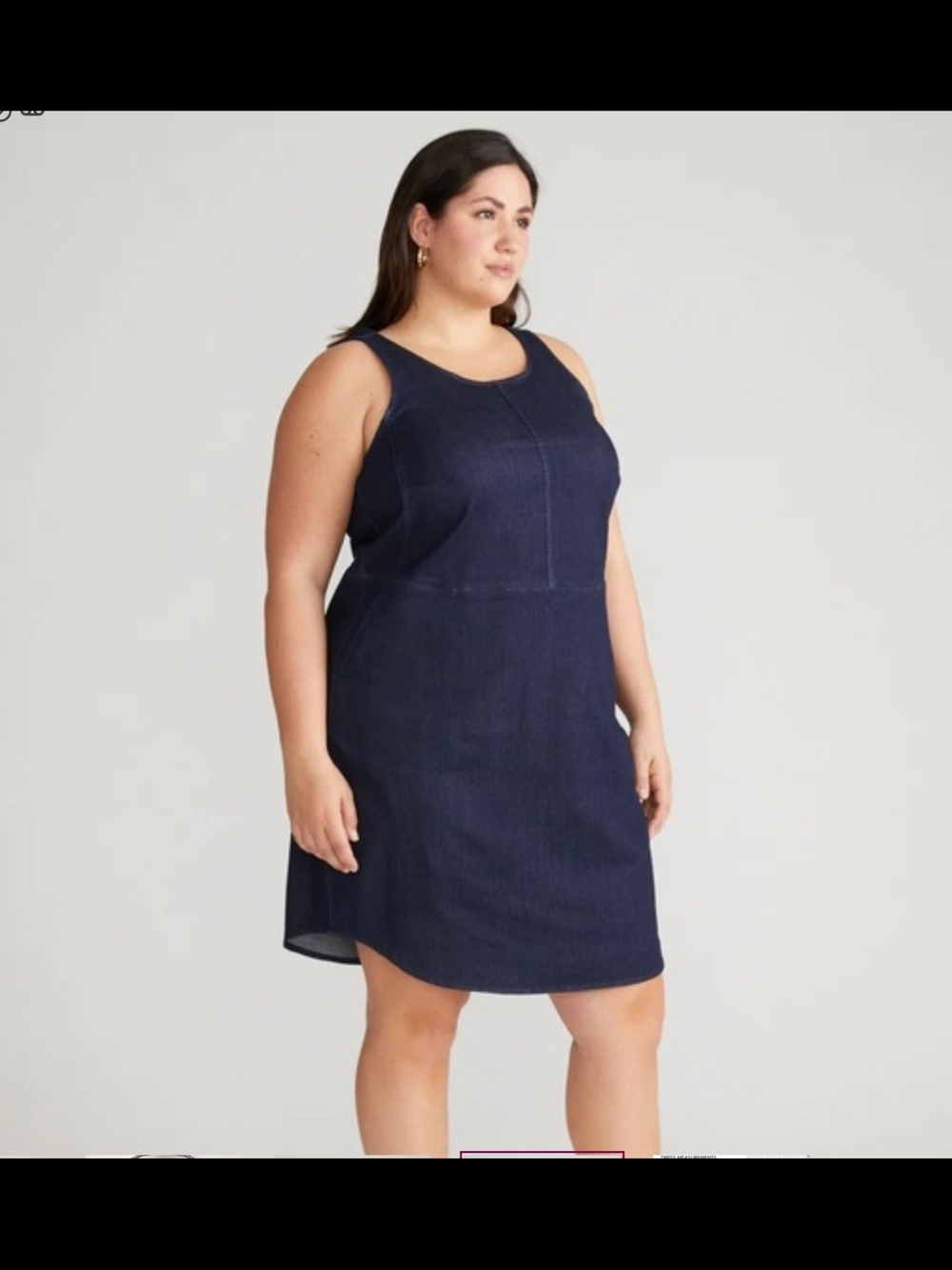 NWT Universal Standard Denim Sleeveless Tank Dress